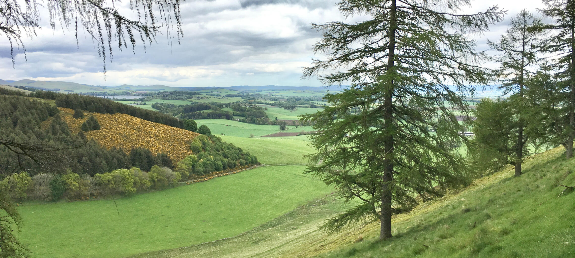 Ardormie Farm Perthshire 2 Ardormie Farm Perthshire 2